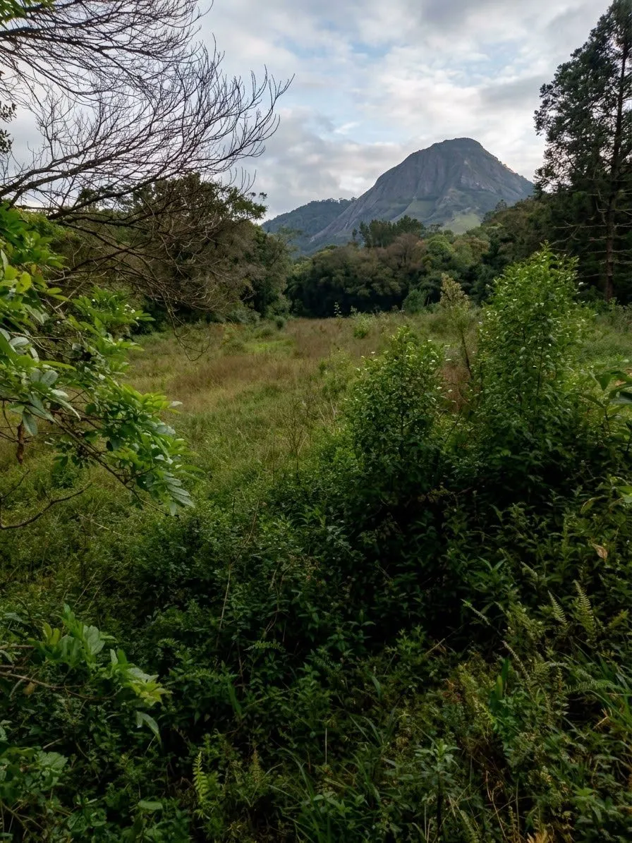 Terreno à venda de 2 ha em Bocaina de Minas, MG, Brasil