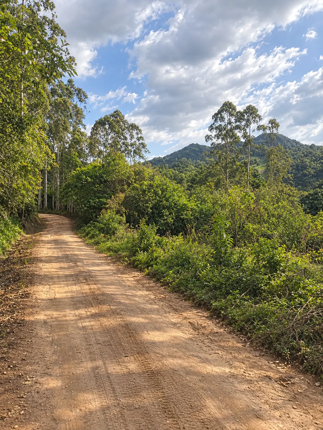 Terreno à venda de 2 ha em Bocaina de Minas, MG, Brasil