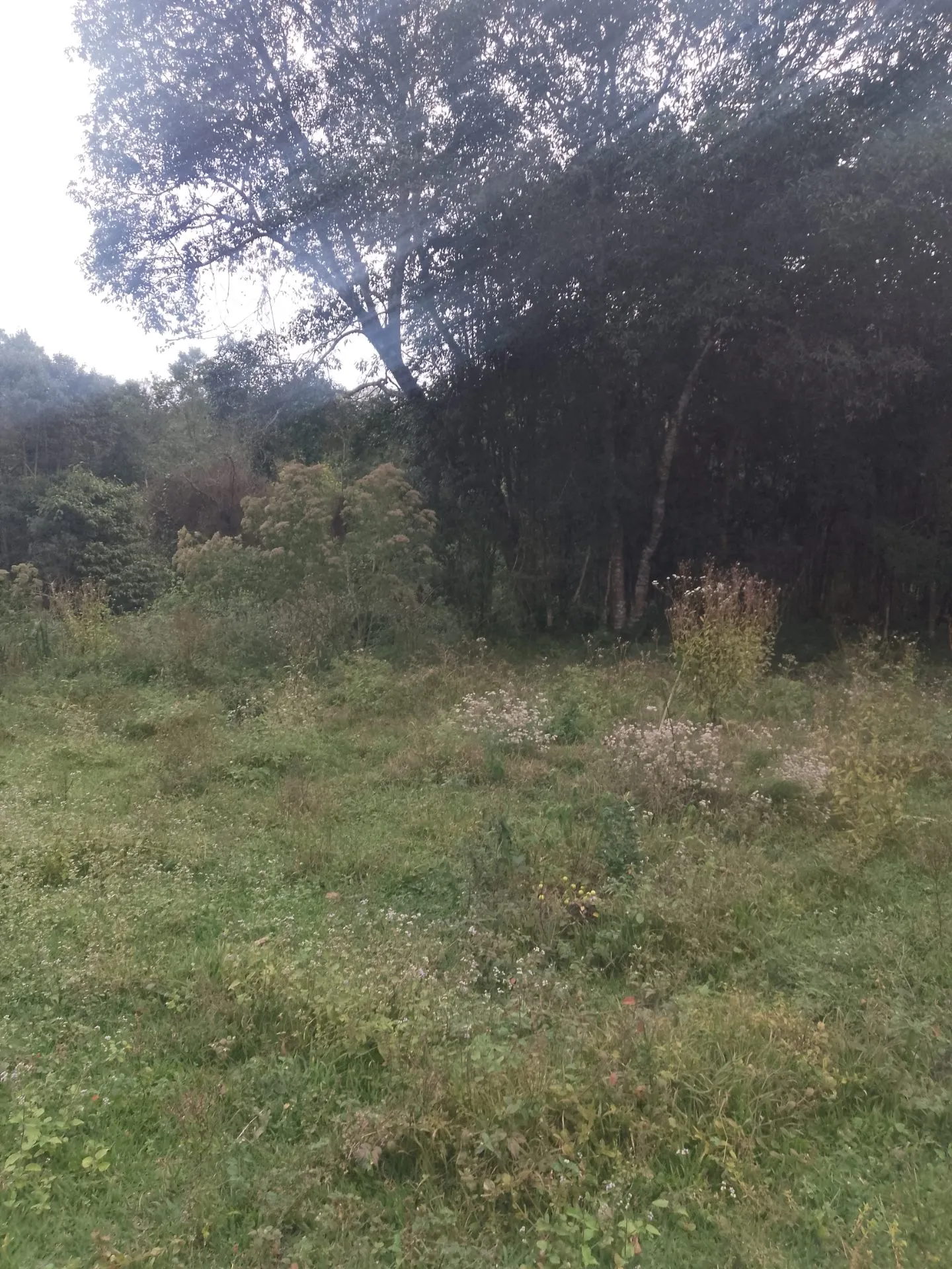 Terreno à venda de 2 ha em Bocaina de Minas, MG, Brasil