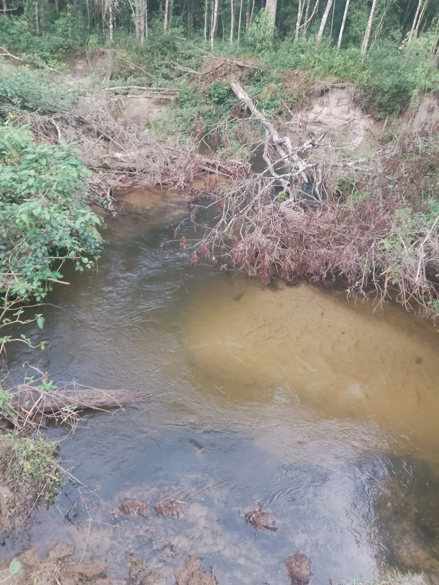 Terreno à venda de 2 ha em Bocaina de Minas, MG, Brasil