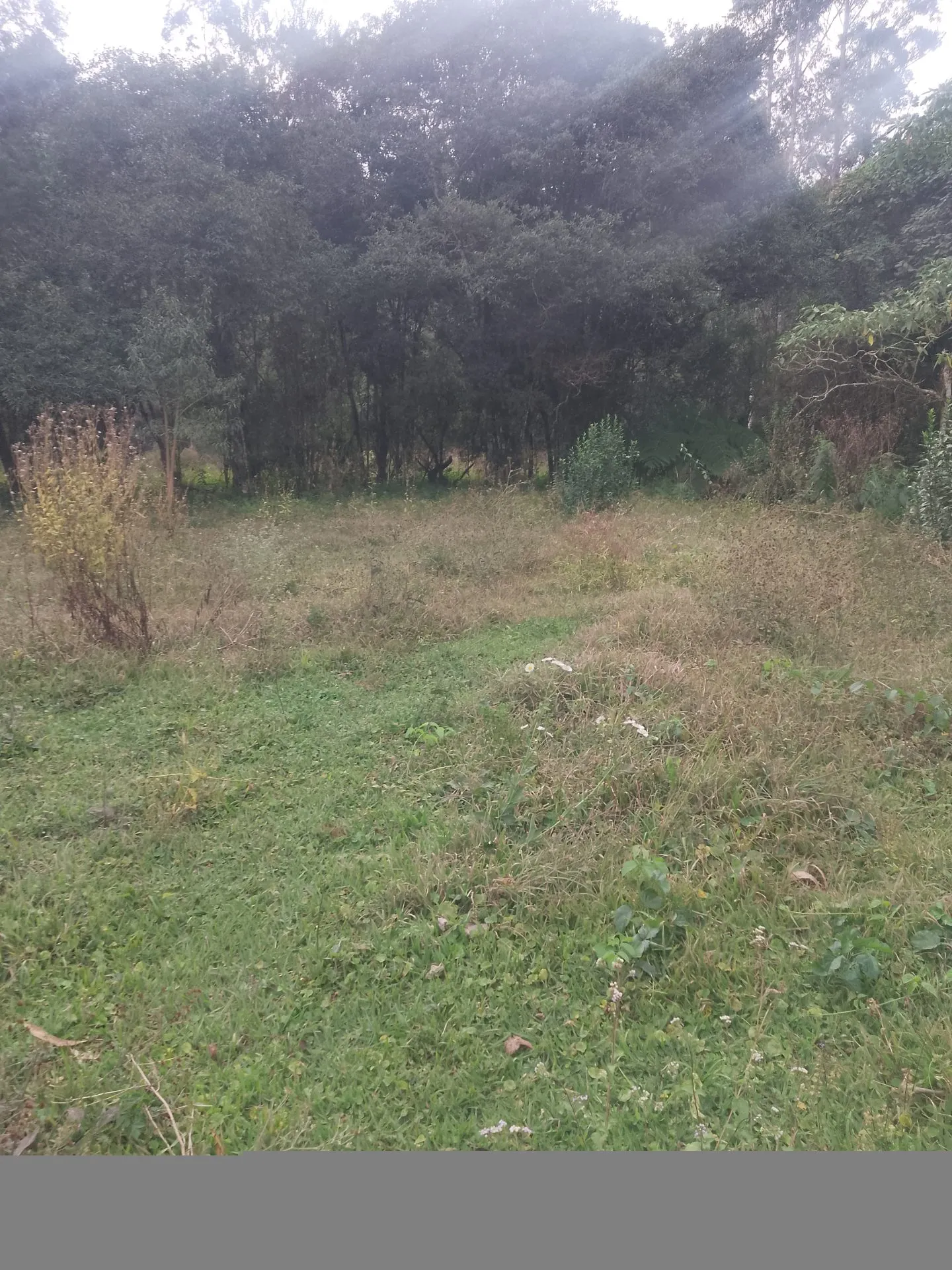 Terreno à venda de 2 ha em Bocaina de Minas, MG, Brasil