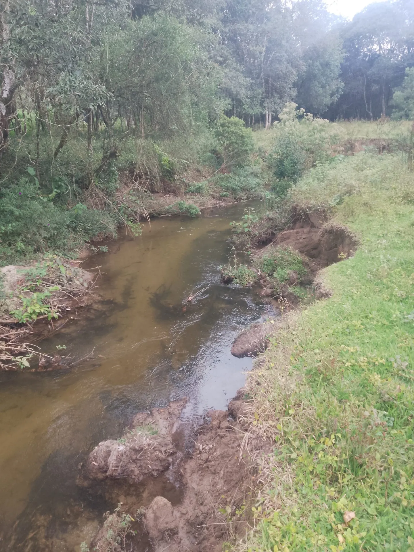 Terreno à venda de 2 ha em Bocaina de Minas, MG, Brasil