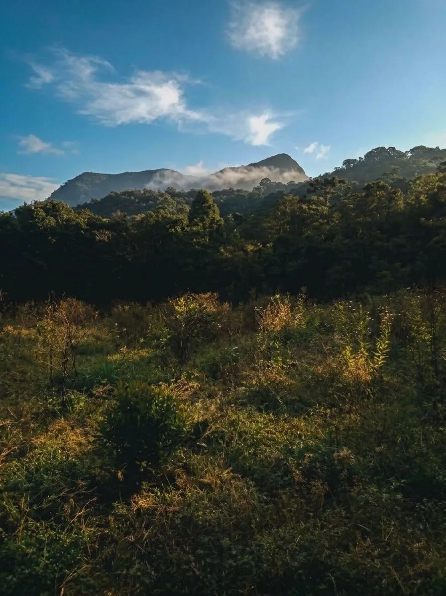 Terreno à venda de 2 ha em Bocaina de Minas, MG, Brasil