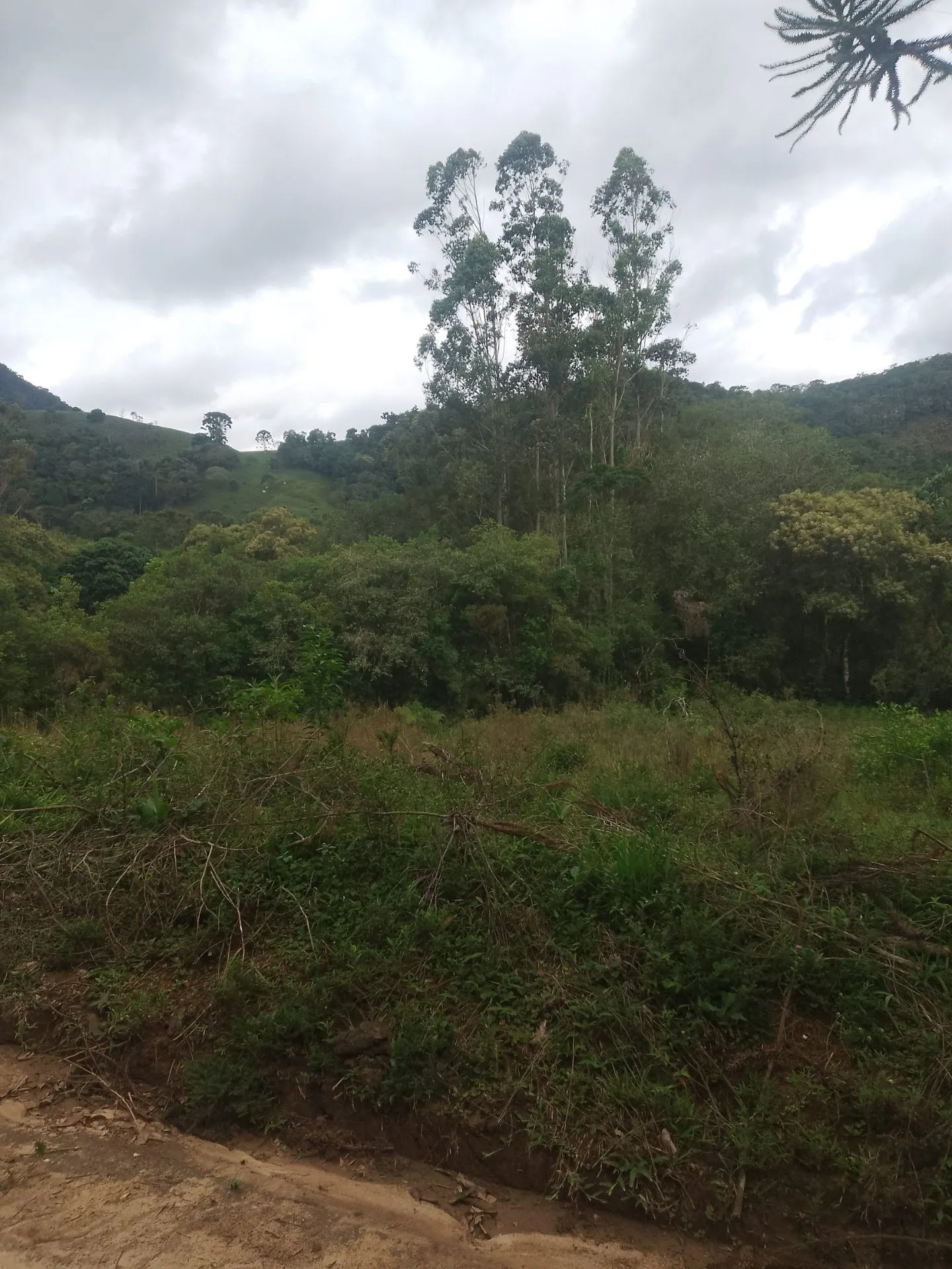 Terreno à venda de 2 ha em Bocaina de Minas, MG, Brasil