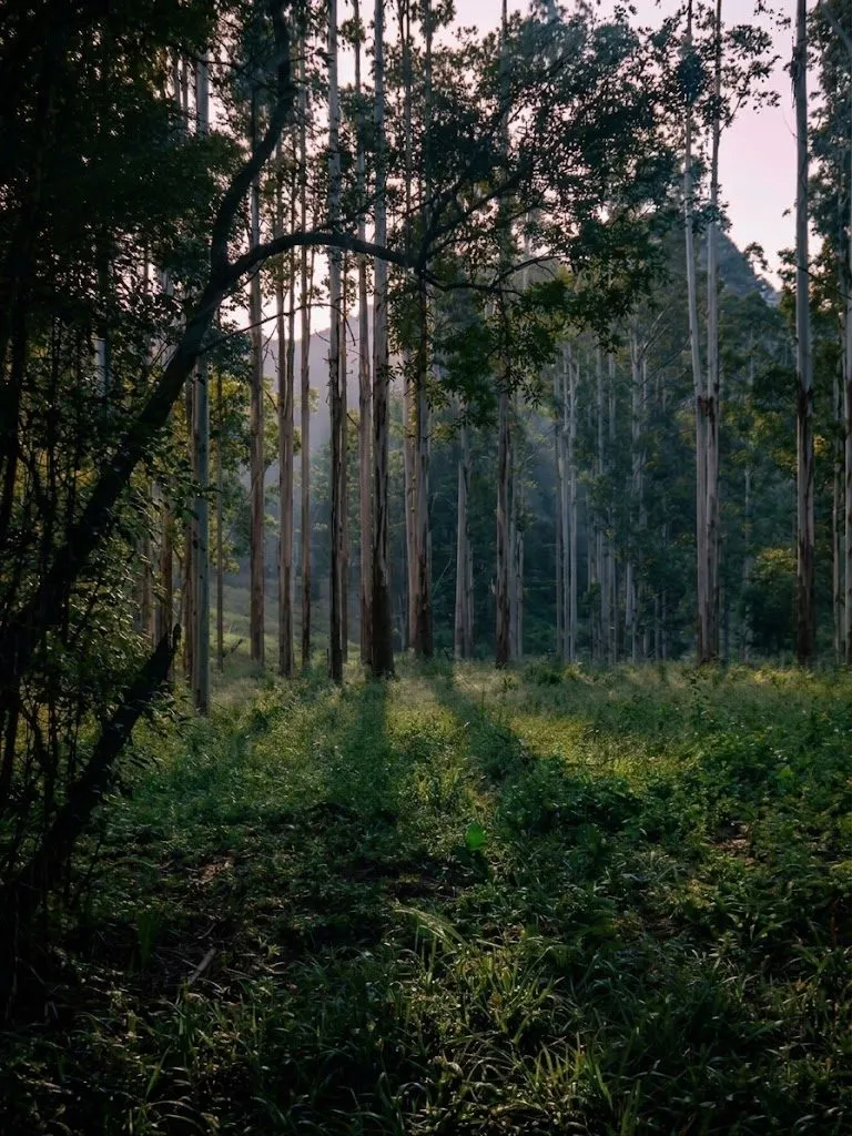 Terreno à venda de 2 ha em Bocaina de Minas, MG, Brasil