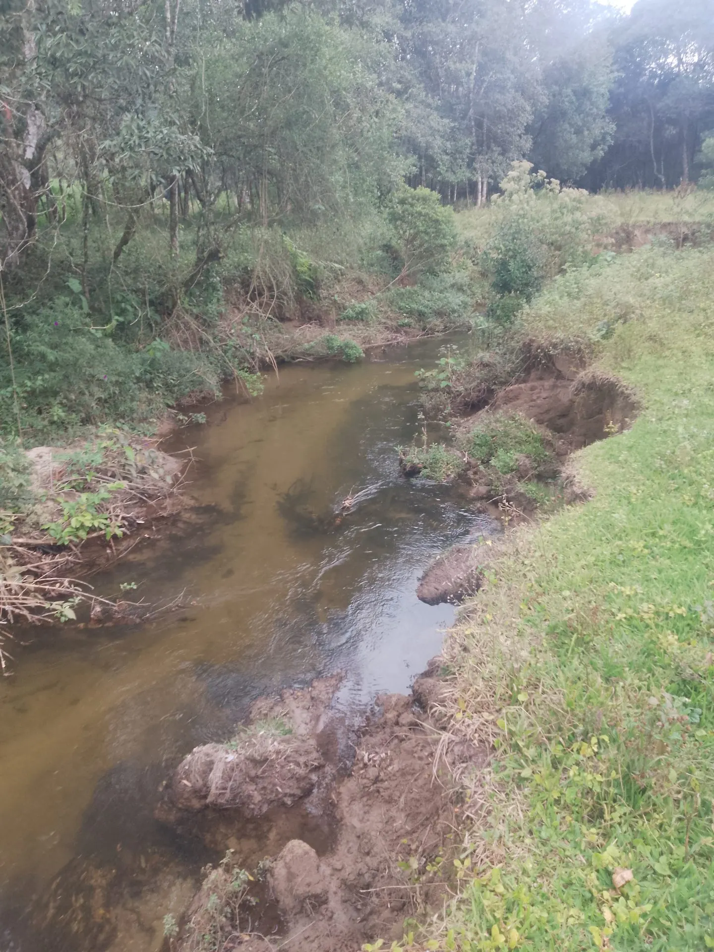 Terreno à venda de 2 ha em Bocaina de Minas, MG, Brasil