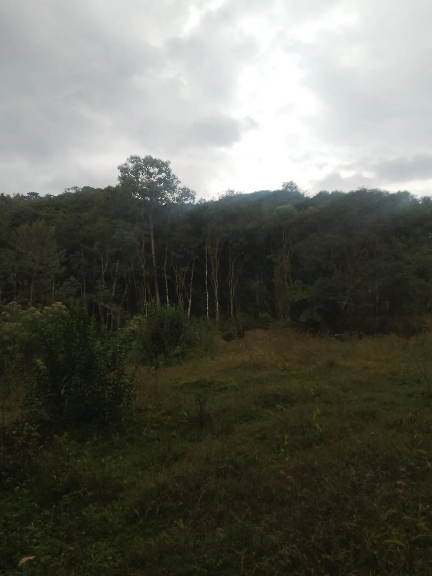 Terreno à venda de 2 ha em Bocaina de Minas, MG, Brasil