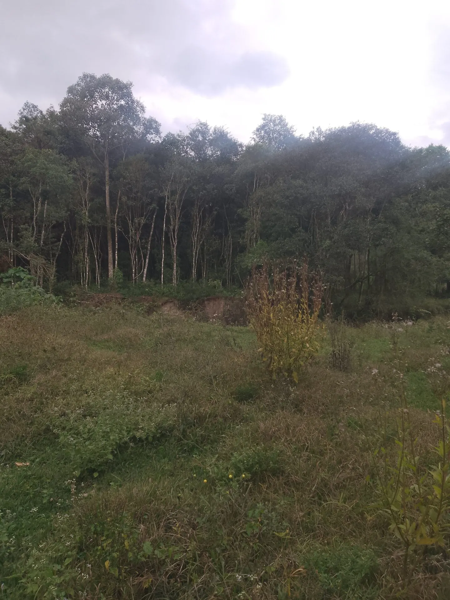 Terreno à venda de 2 ha em Bocaina de Minas, MG, Brasil