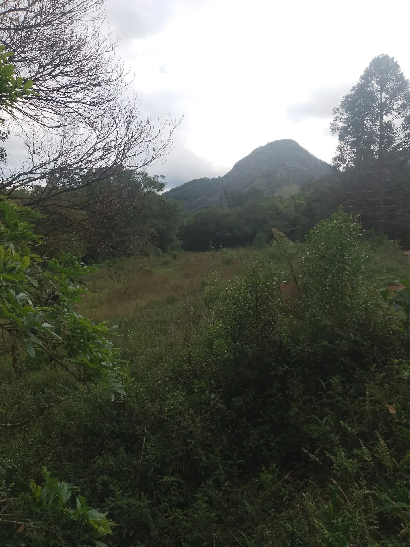 Terreno à venda de 2 ha em Bocaina de Minas, MG, Brasil
