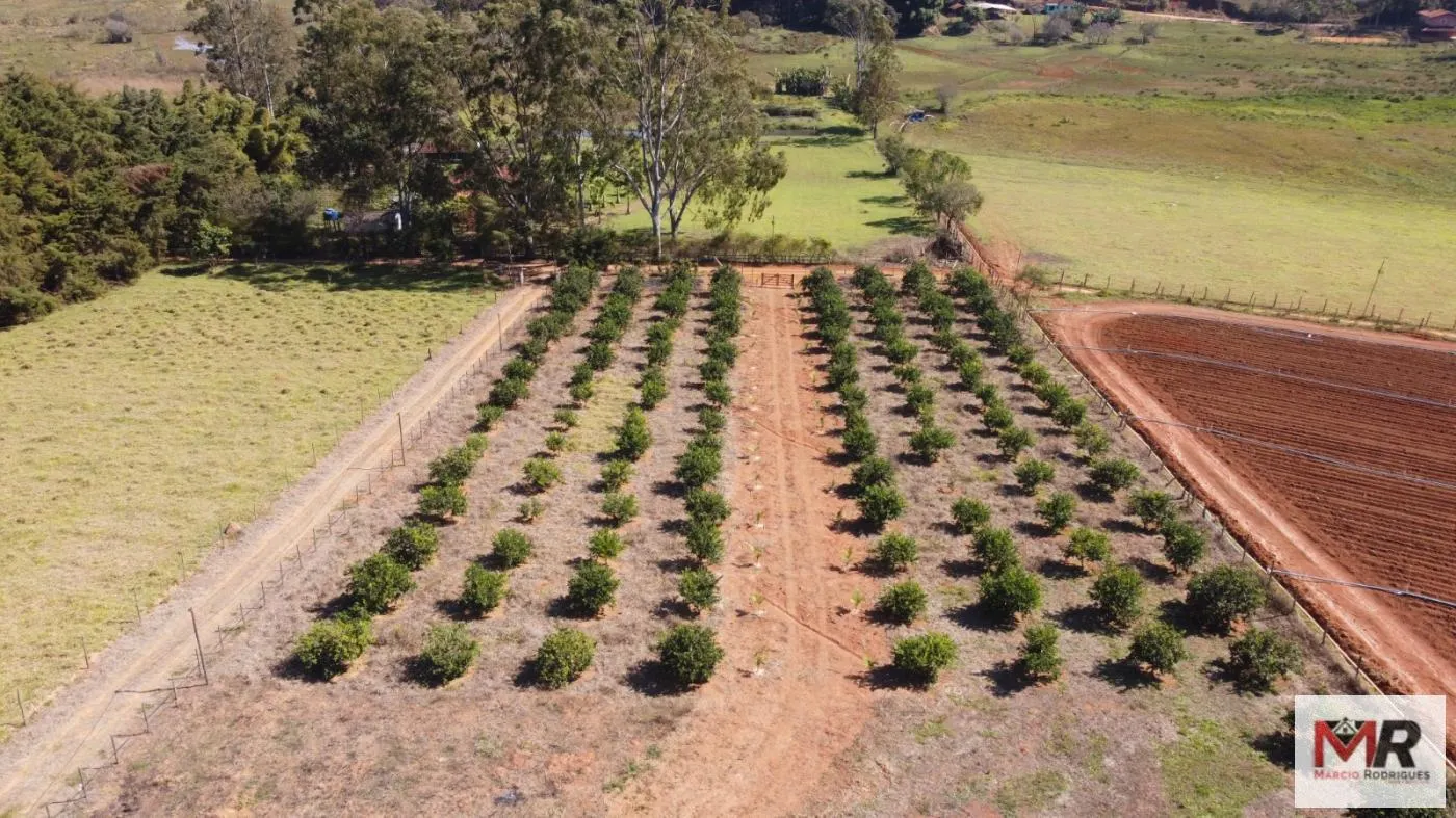 Chácara à venda de 9.750 m² em Silvianópolis, MG, Brasil
