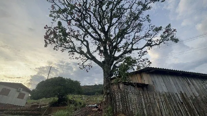 Country home for sale of 6 acres in Santo Antônio da Patrulha, RS, Brazil
