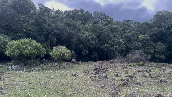Country home for sale of 6 acres in Santo Antônio da Patrulha, RS, Brazil