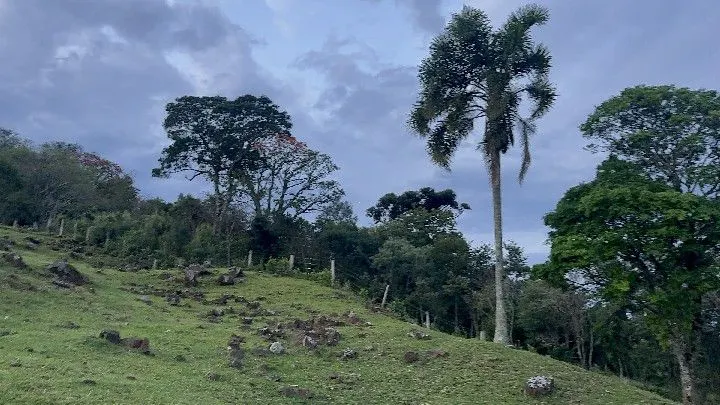 Country home for sale of 6 acres in Santo Antônio da Patrulha, RS, Brazil
