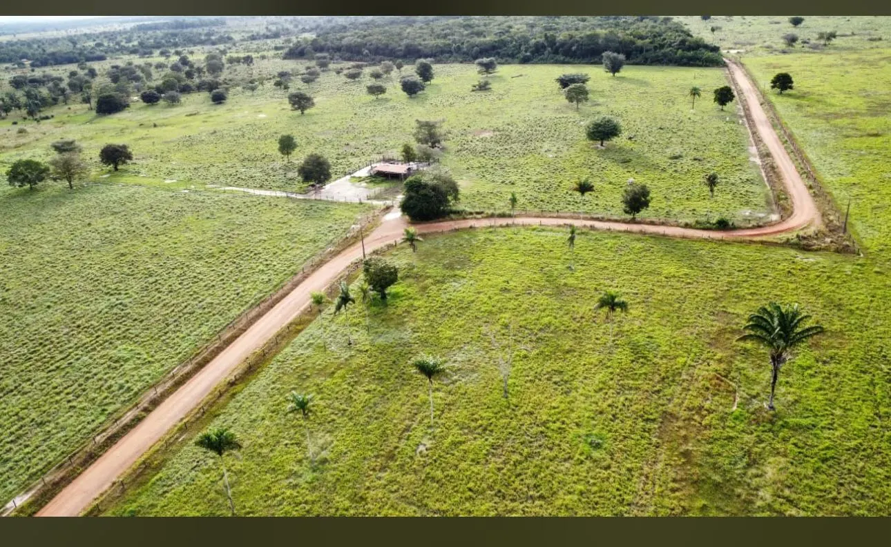 Fazenda à venda de 290 ha em Conceição do Araguaia, PA, Brasil
