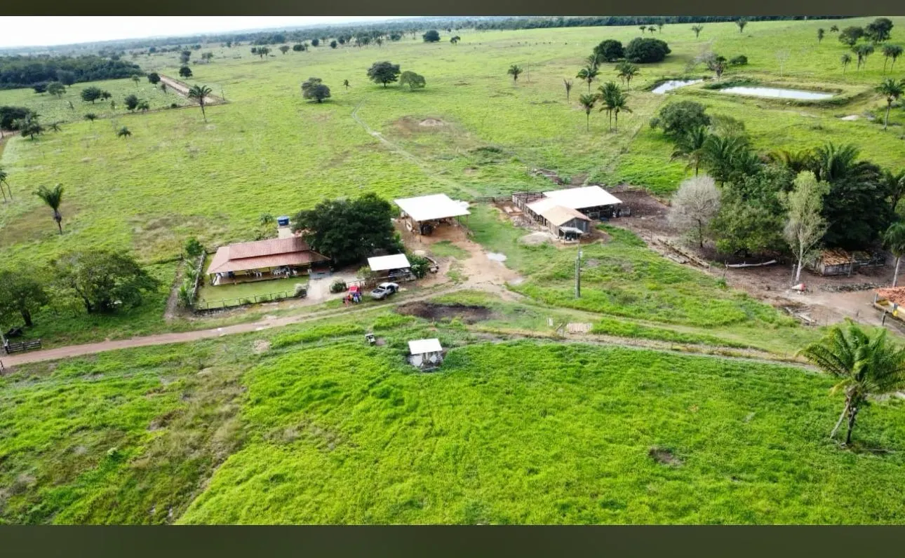 Fazenda à venda de 290 ha em Conceição do Araguaia, PA, Brasil