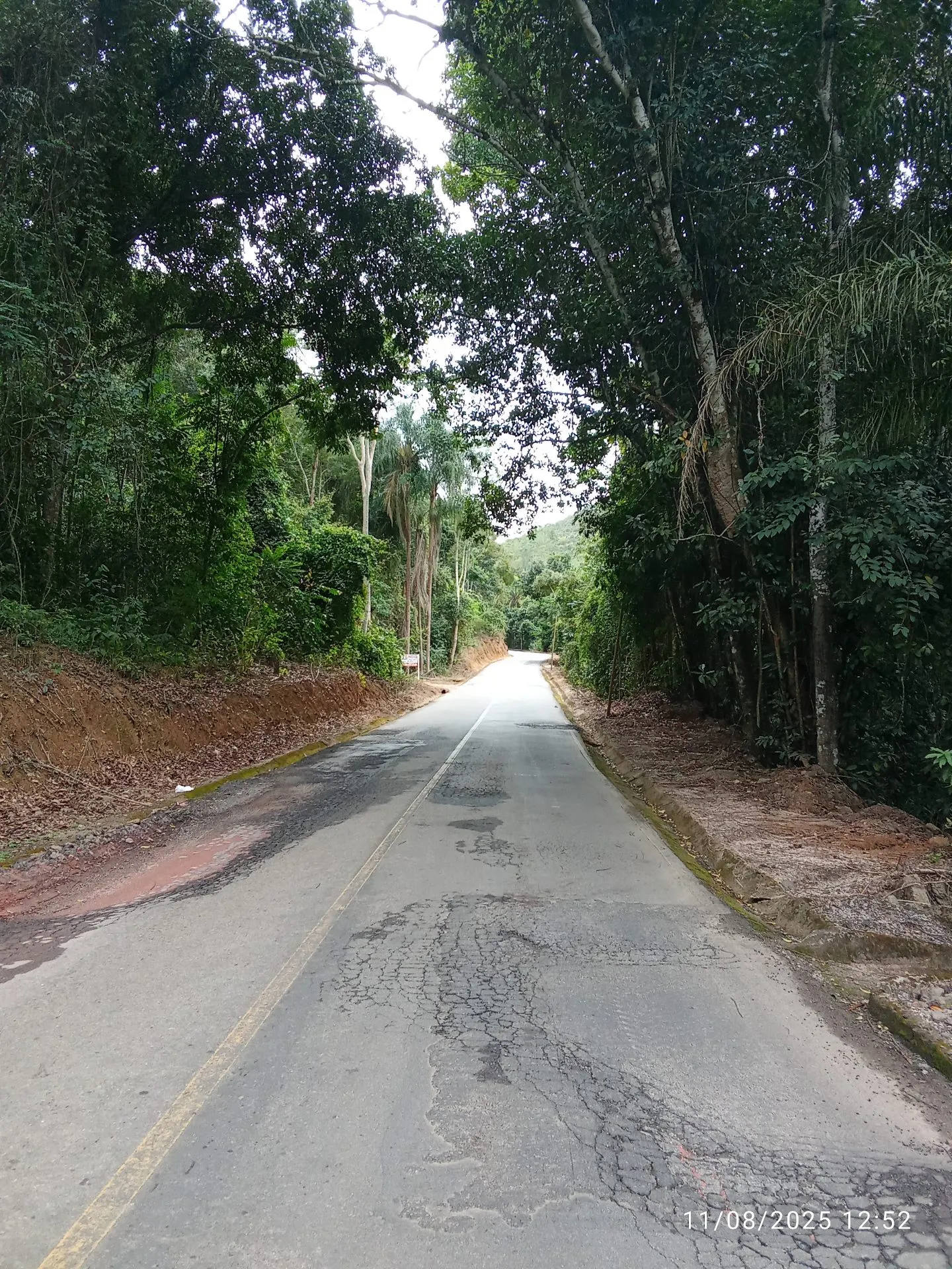 Chácara à venda de 5.000 m² em Domingos Martins, ES, Brasil