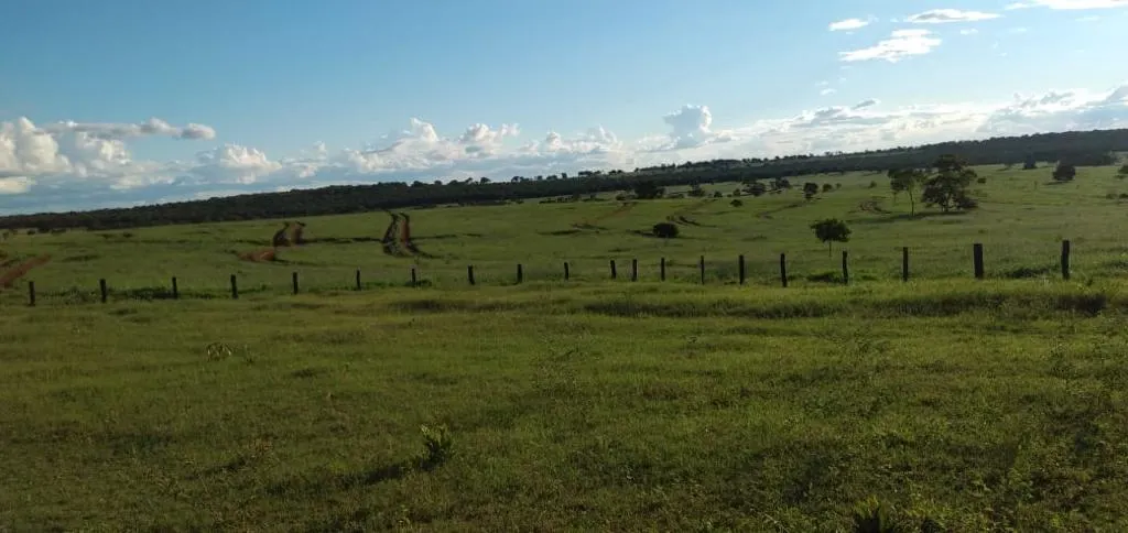Fazenda à venda de 1.452 ha em Paraíso das Águas, MS, Brasil