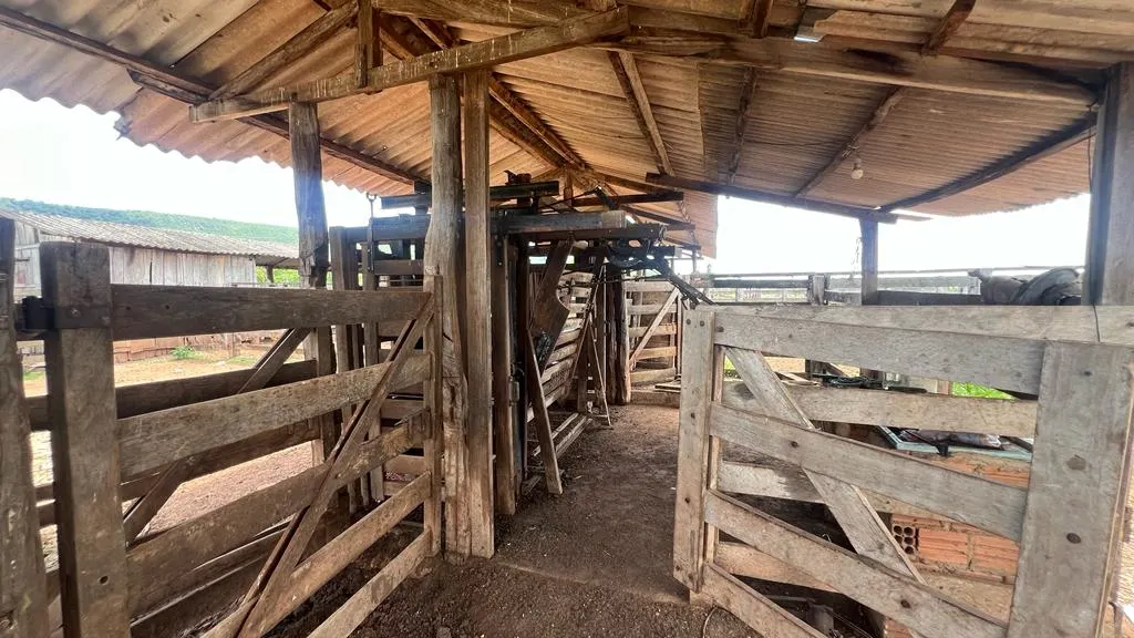 Fazenda à venda de 1.452 ha em Paraíso das Águas, MS, Brasil