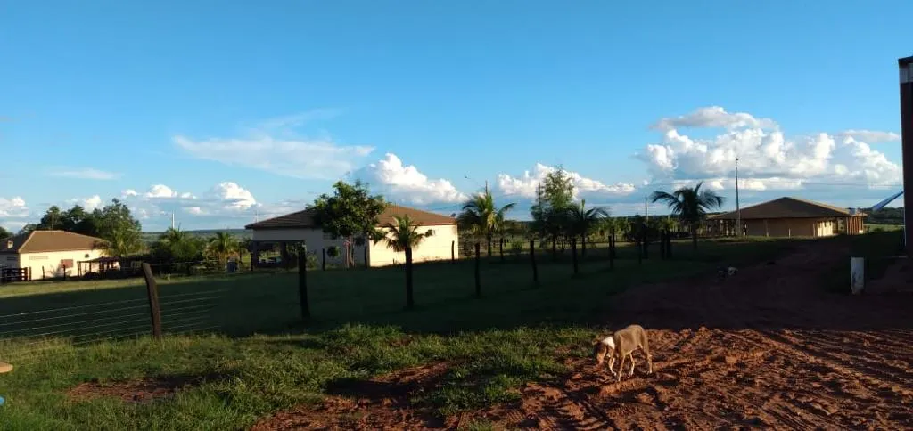 Fazenda à venda de 1.452 ha em Paraíso das Águas, MS, Brasil