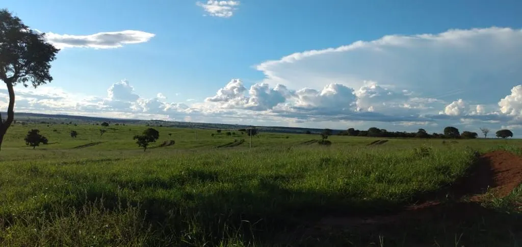 Fazenda à venda de 1.452 ha em Paraíso das Águas, MS, Brasil