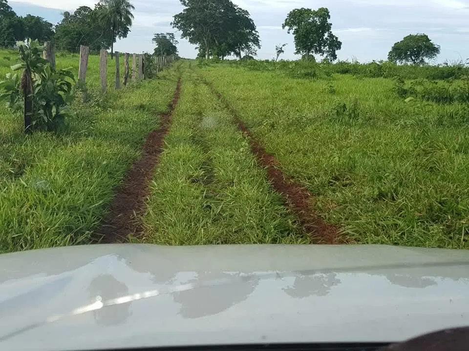 Fazenda à venda de 1.452 ha em Paraíso das Águas, MS, Brasil