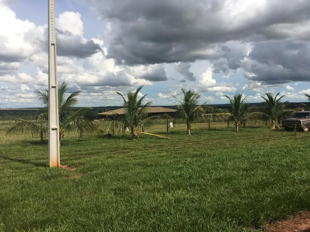 Fazenda à venda de 1.452 ha em Paraíso das Águas, MS, Brasil