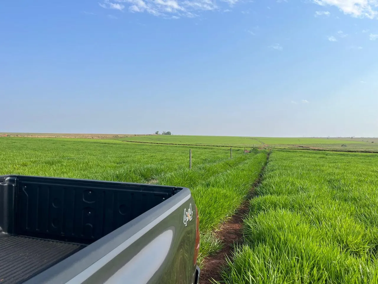Fazenda à venda de 1.452 ha em Paraíso das Águas, MS, Brasil