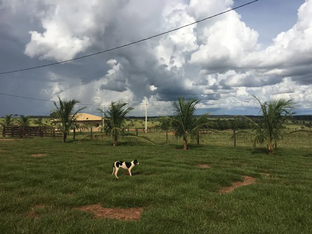 Fazenda à venda de 1.452 ha em Paraíso das Águas, MS, Brasil