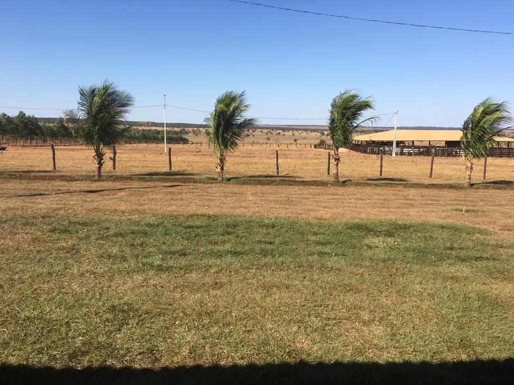 Fazenda à venda de 1.452 ha em Paraíso das Águas, MS, Brasil