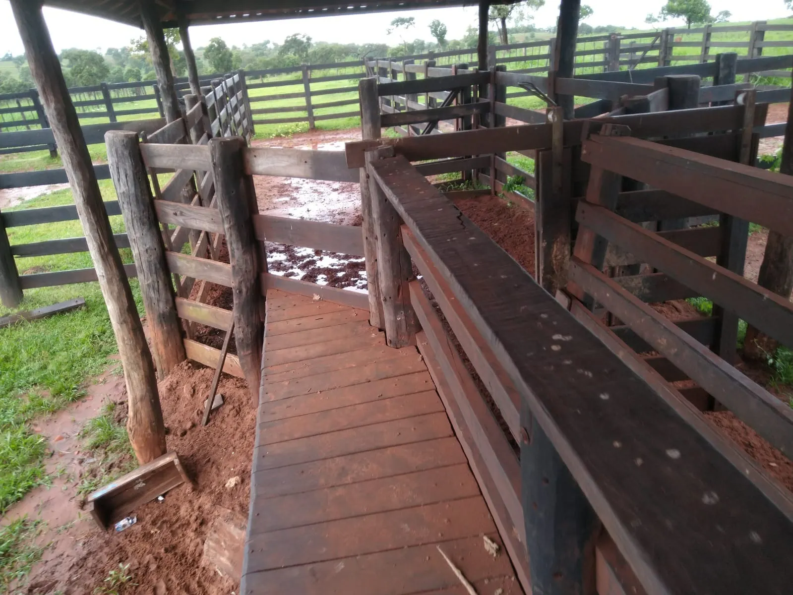 Fazenda à venda de 1.452 ha em Paraíso das Águas, MS, Brasil