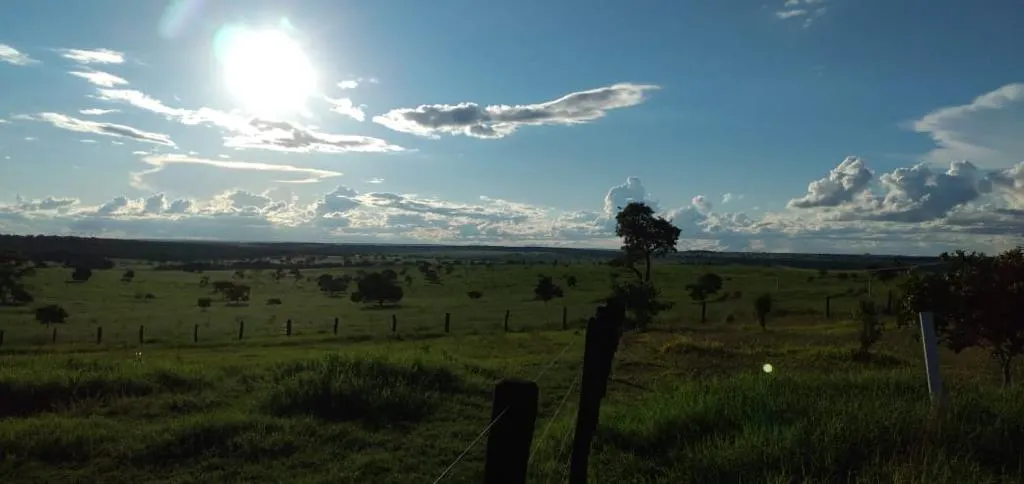 Fazenda à venda de 1.452 ha em Paraíso das Águas, MS, Brasil