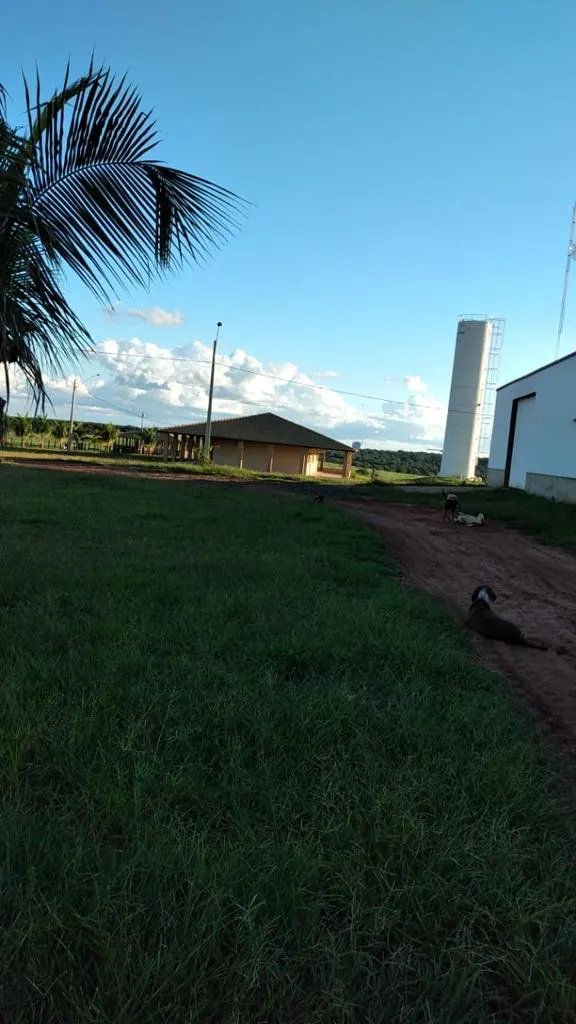 Fazenda à venda de 1.452 ha em Paraíso das Águas, MS, Brasil