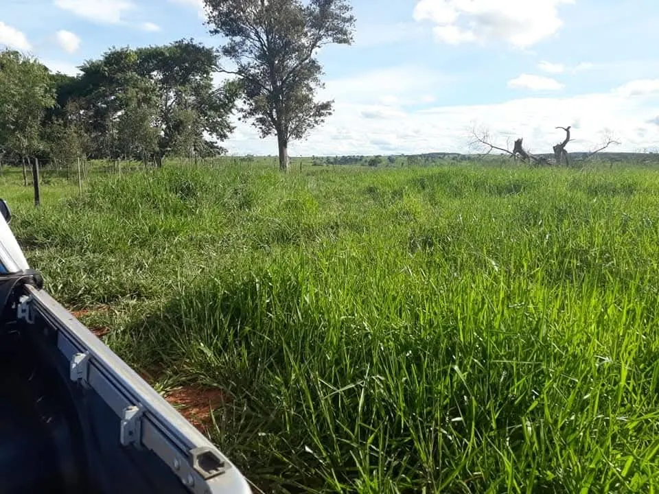 Fazenda à venda de 1.452 ha em Paraíso das Águas, MS, Brasil