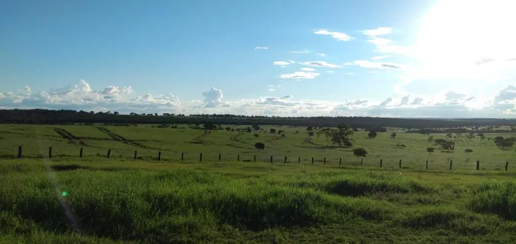 Fazenda à venda de 1.452 ha em Paraíso das Águas, MS, Brasil