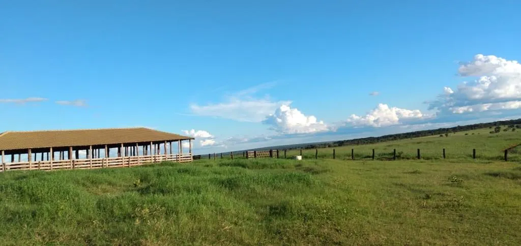 Fazenda à venda de 1.452 ha em Paraíso das Águas, MS, Brasil