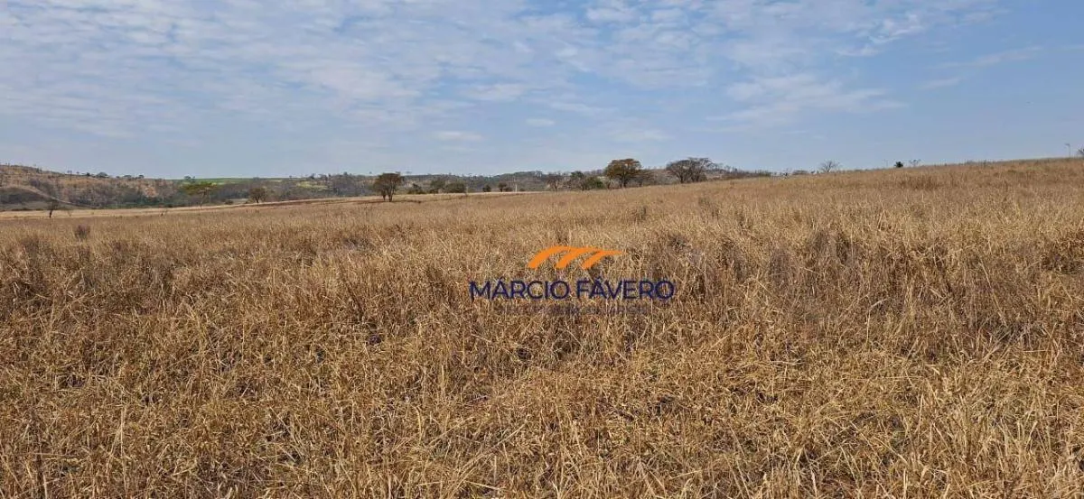 Farm for sale of 484 acres in Dourado, SP, Brazil