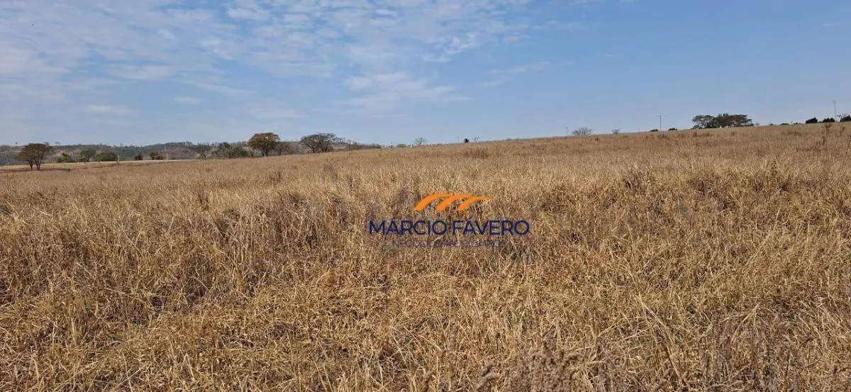 Farm for sale of 484 acres in Dourado, SP, Brazil