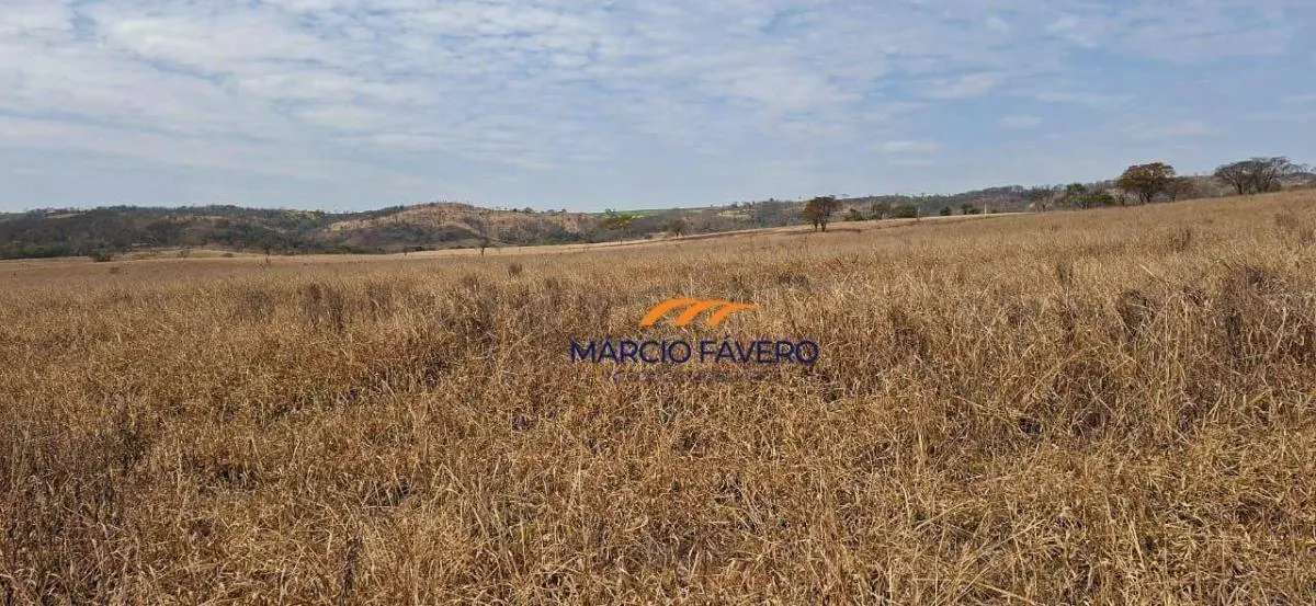 Farm for sale of 484 acres in Dourado, SP, Brazil