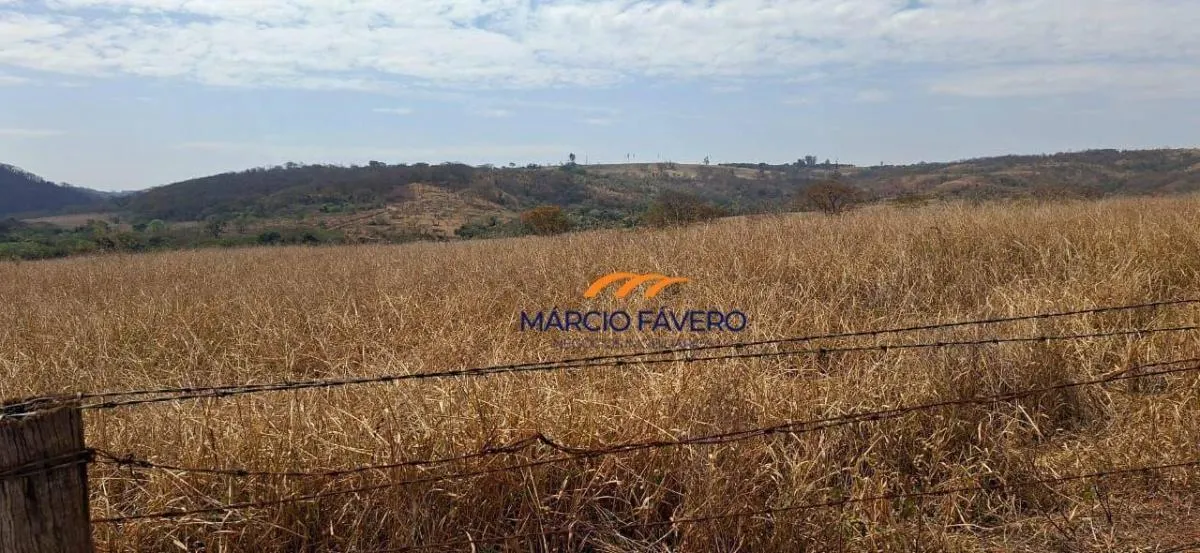 Fazenda à venda de 196 ha em Dourado, SP, Brasil