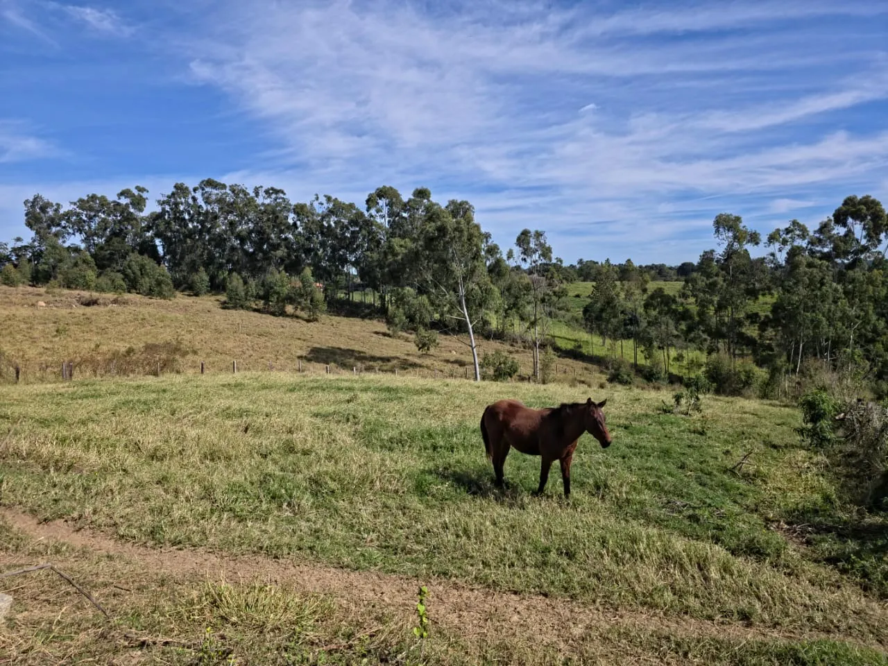 Fazenda à venda de 29 ha em Itapetininga, SP, Brasil