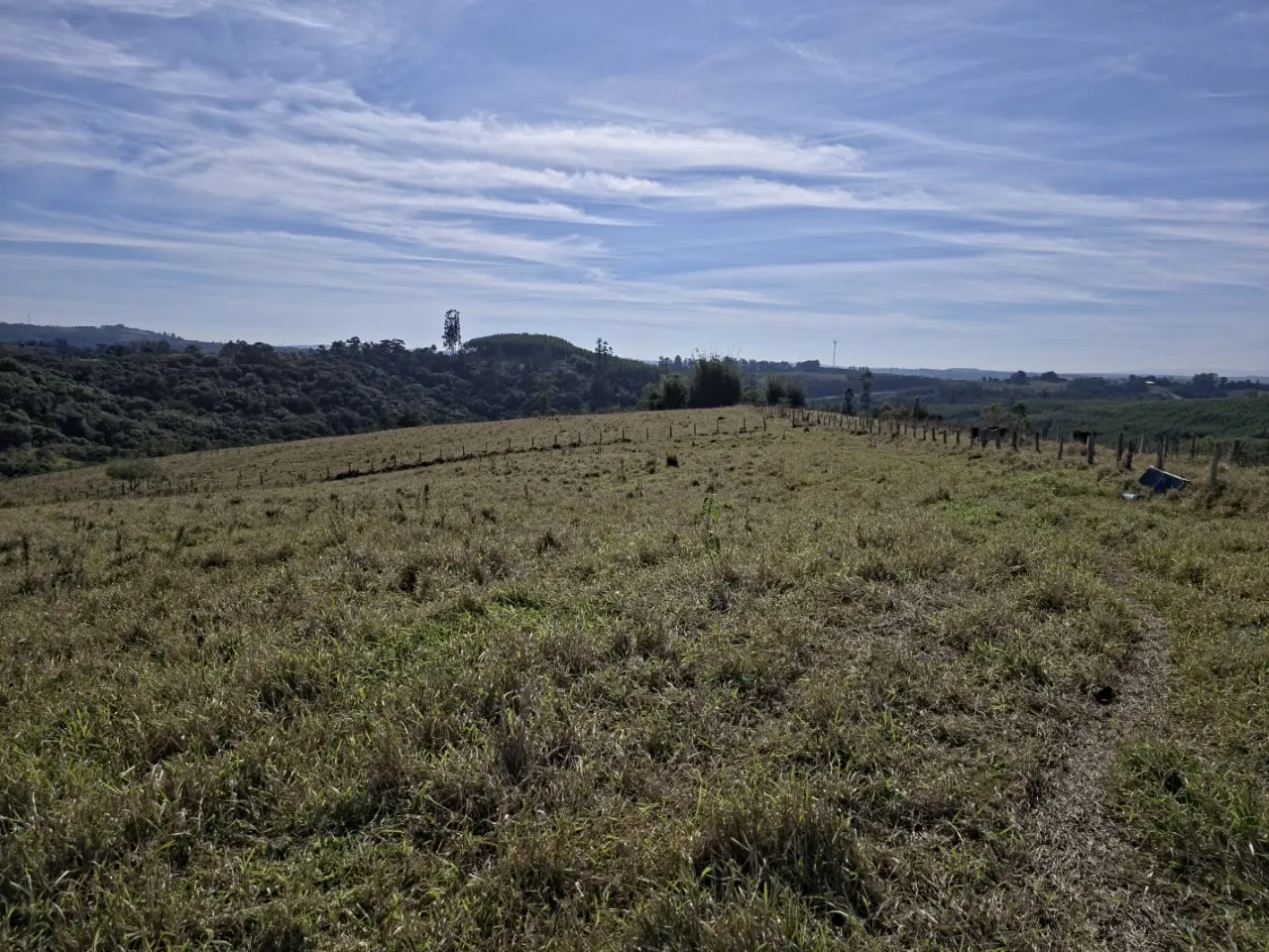 Fazenda à venda de 29 ha em Itapetininga, SP, Brasil