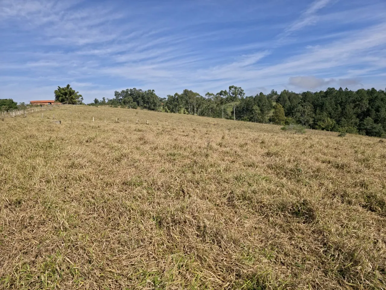 Fazenda à venda de 29 ha em Itapetininga, SP, Brasil