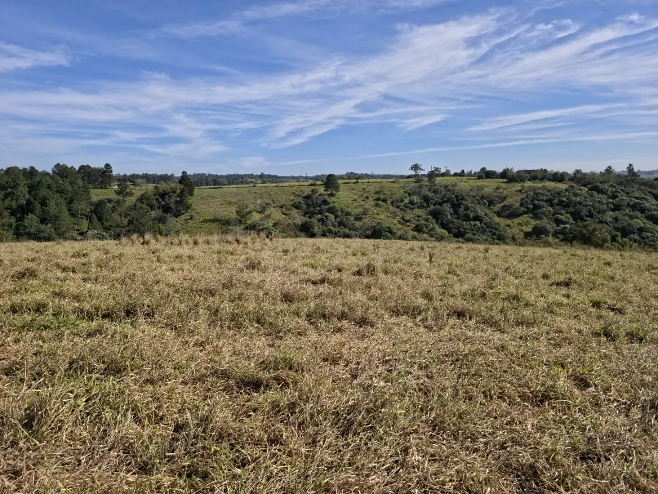Fazenda à venda de 29 ha em Itapetininga, SP, Brasil