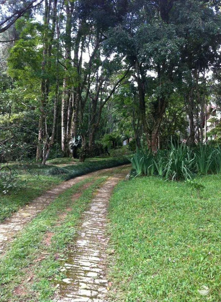 Small farm for sale of 111 acres in Santo Antônio do Pinhal, SP, Brazil