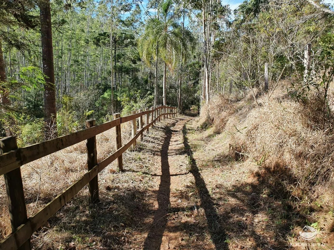 Small farm for sale of 111 acres in Santo Antônio do Pinhal, SP, Brazil