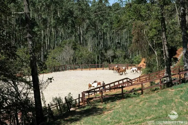 Small farm for sale of 111 acres in Santo Antônio do Pinhal, SP, Brazil