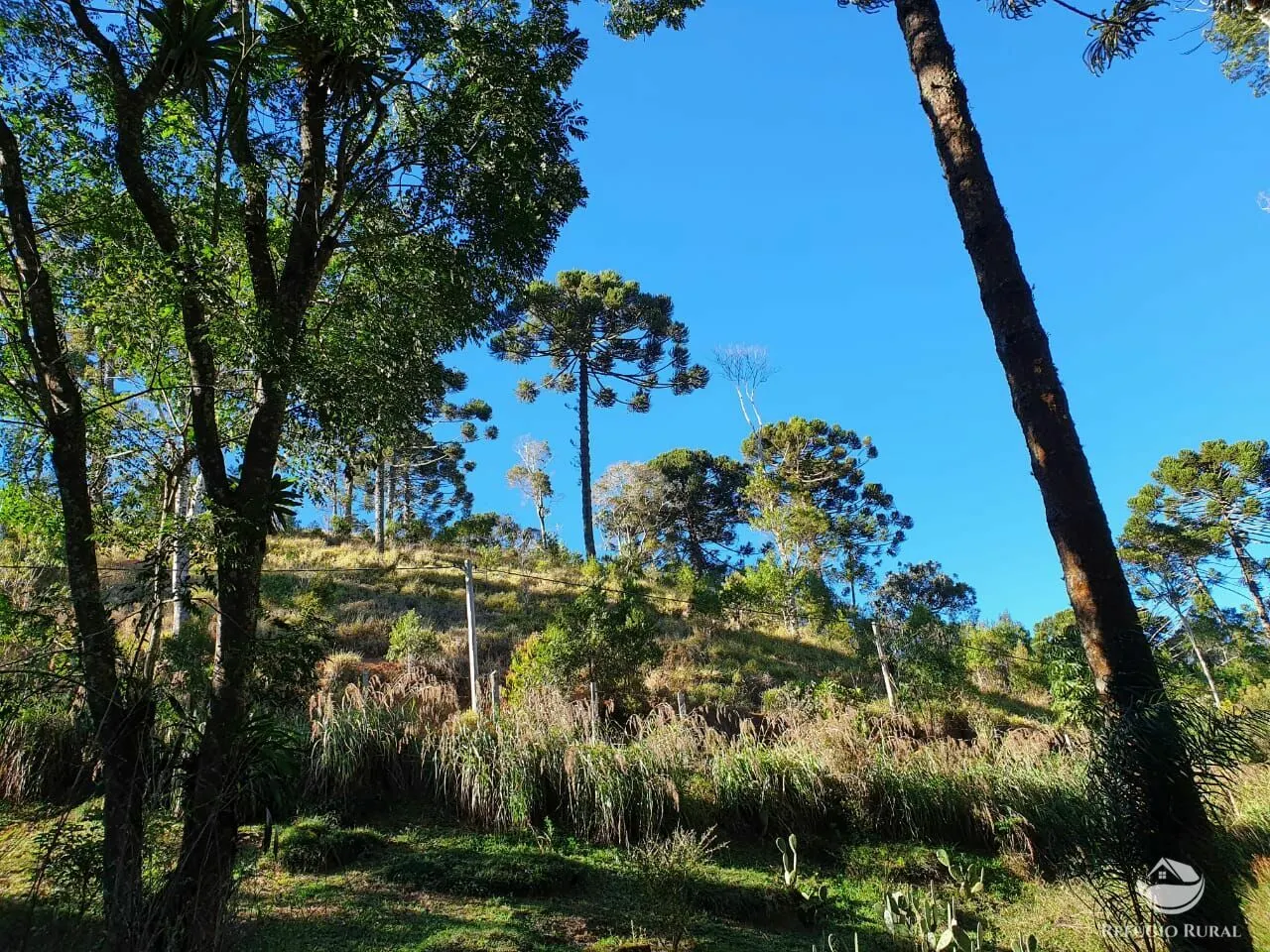 Small farm for sale of 111 acres in Santo Antônio do Pinhal, SP, Brazil