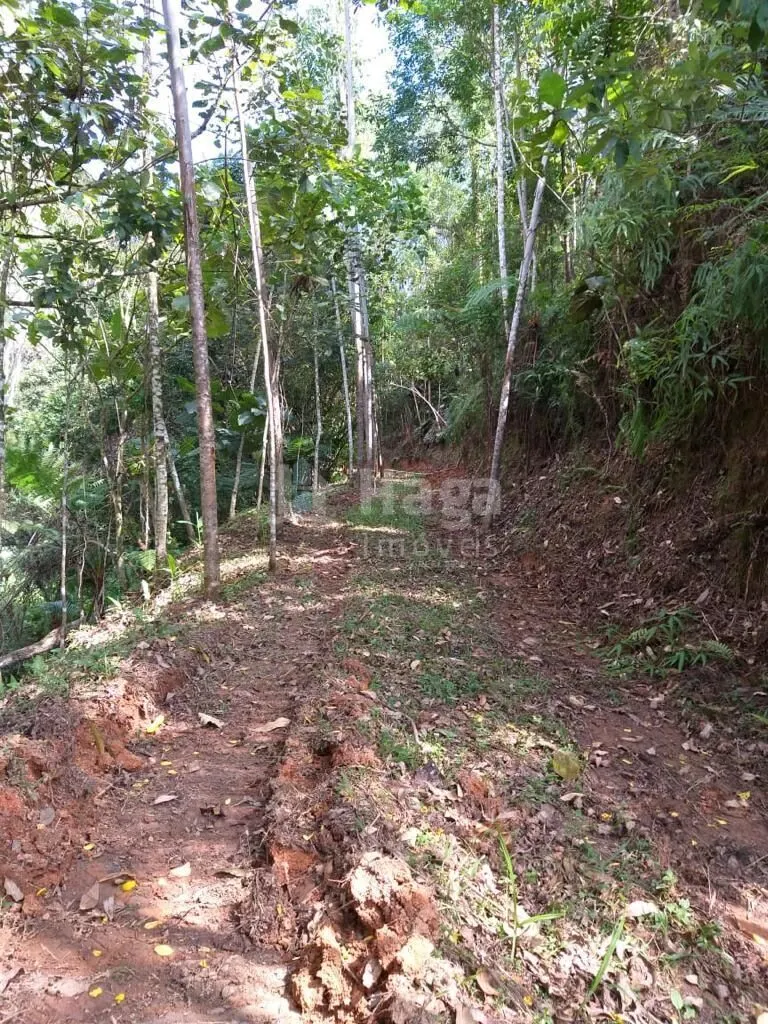 Chácara à venda de 7 ha em Nova Trento, SC, Brasil