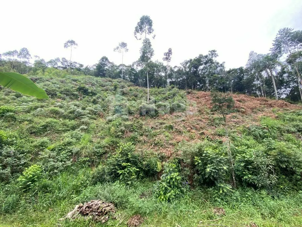 Country home for sale of 7 acres in Nova Trento, SC, Brazil