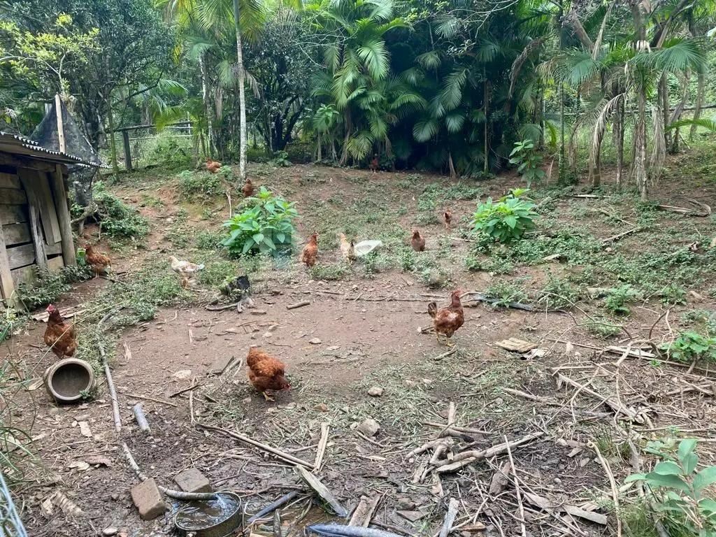 Country home for sale of 7 acres in Nova Trento, SC, Brazil